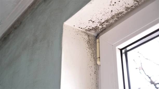 Water Damage Restoration in White House, TN