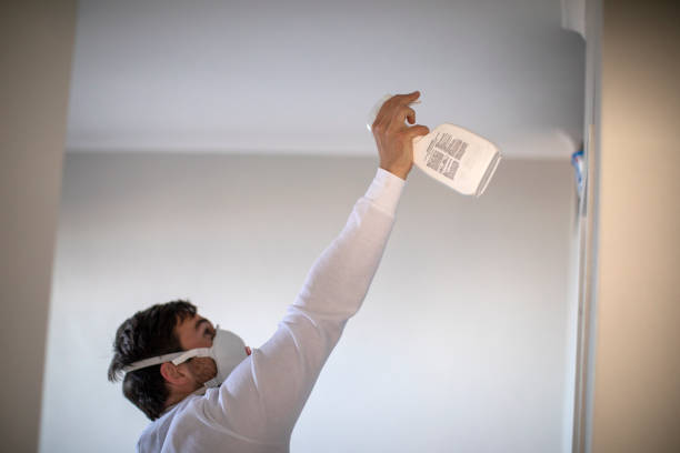 Best Mold Damage Repair  in White House, TN